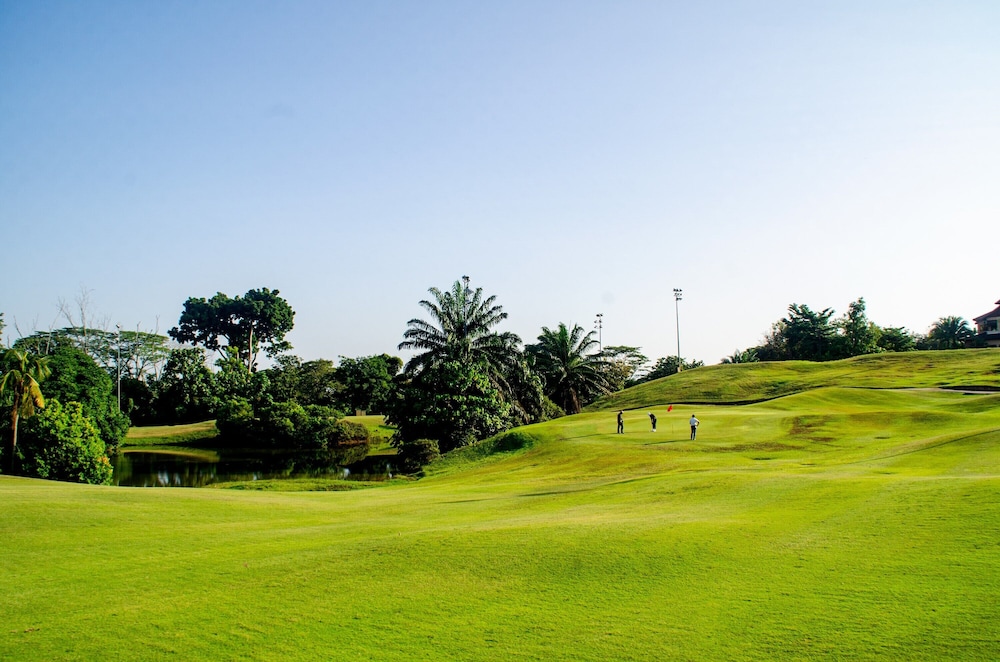 Golf view