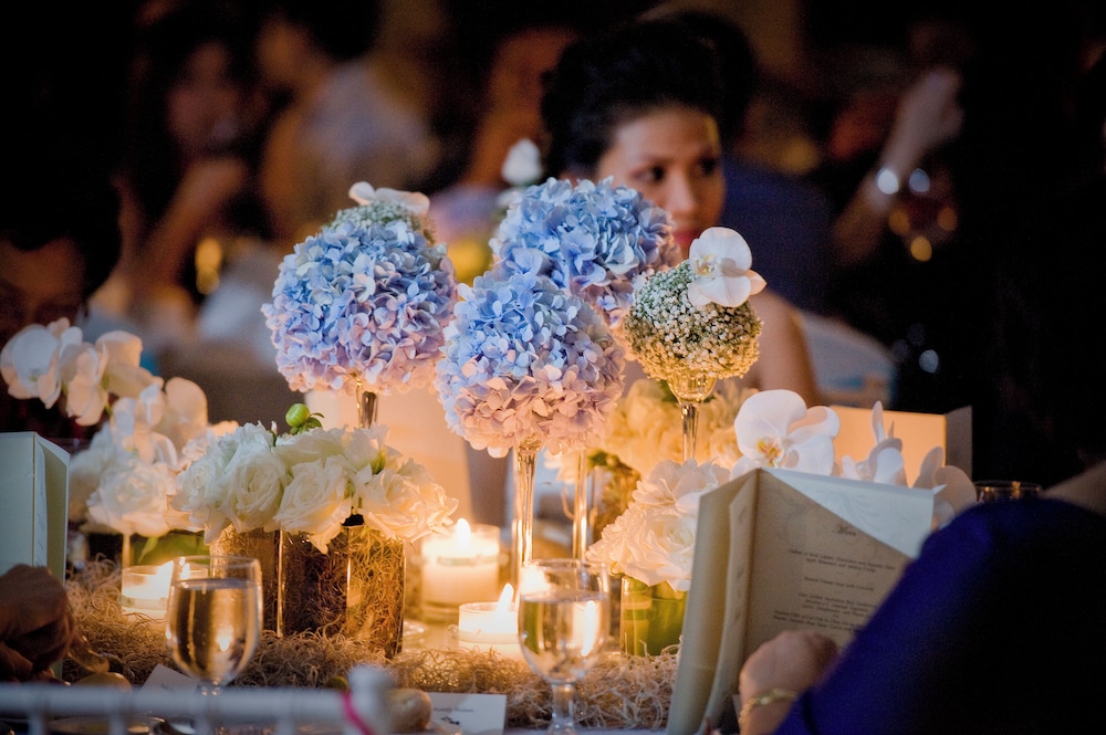 Outdoor wedding area