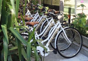 thumbnail: Bicycling