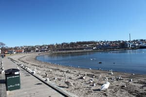 thumbnail: Beach