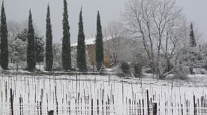 thumbnail: Property grounds