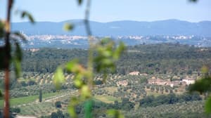 thumbnail: View from property