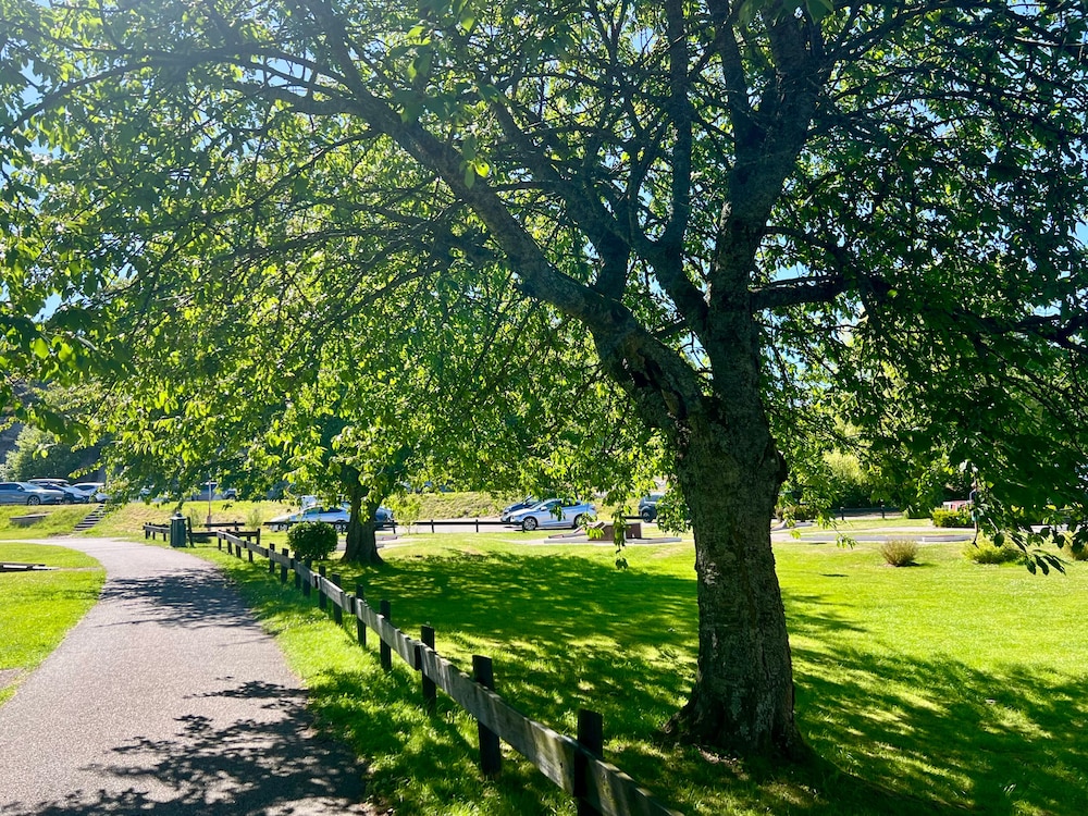 BBQ/picnic area