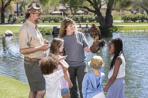 thumbnail: Children's activities