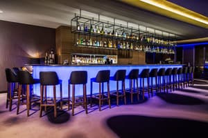 thumbnail: Nightclub
