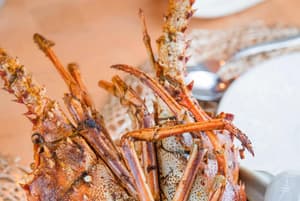 thumbnail: Dining