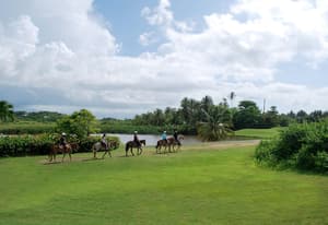 thumbnail: Horseback riding