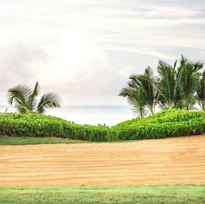 thumbnail: Golf