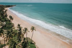 thumbnail: Beach