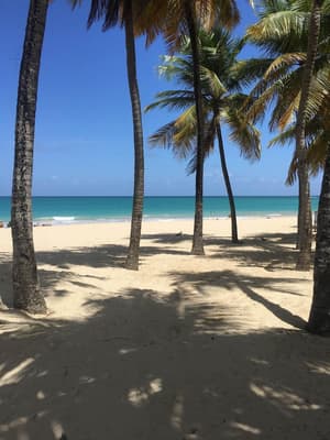 thumbnail: Beach