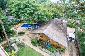 thumbnail: Garden view