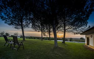 thumbnail: Property grounds