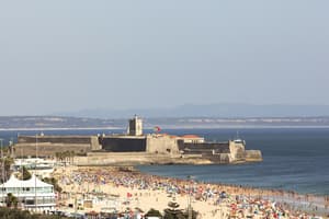 thumbnail: Aerial view