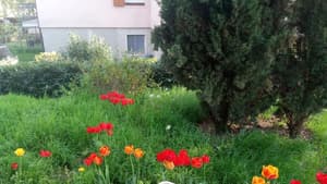 thumbnail: General view