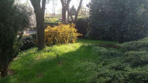 thumbnail: General view