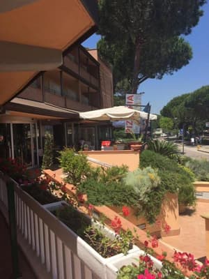 thumbnail: General view