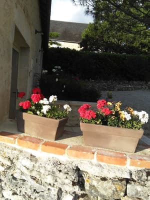 thumbnail: Terrace/patio