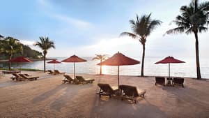 thumbnail: Beach