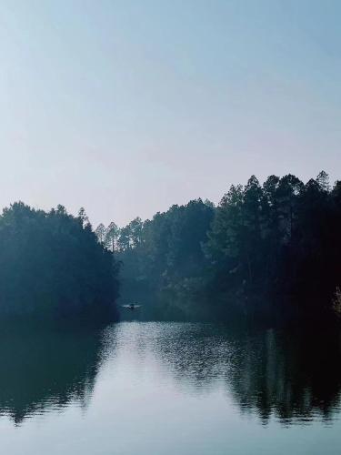 702105284.jpg