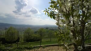 thumbnail: View from property
