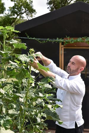 thumbnail: Garden