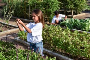 thumbnail: Garden