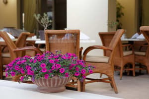 thumbnail: Restaurant