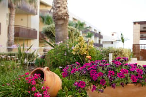 thumbnail: Garden