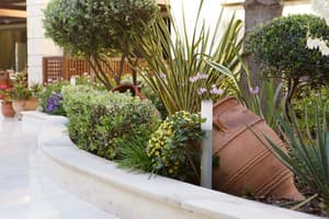 thumbnail: Garden
