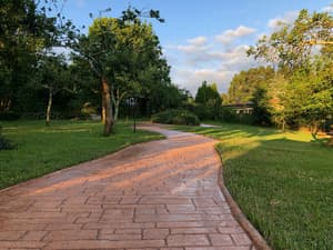 thumbnail: Garden