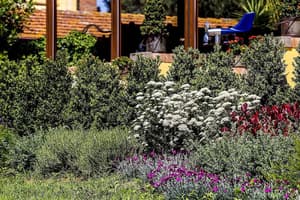 thumbnail: Garden