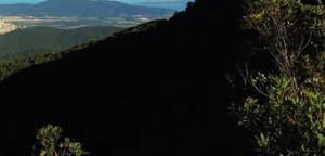 thumbnail: General view