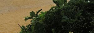 thumbnail: General view
