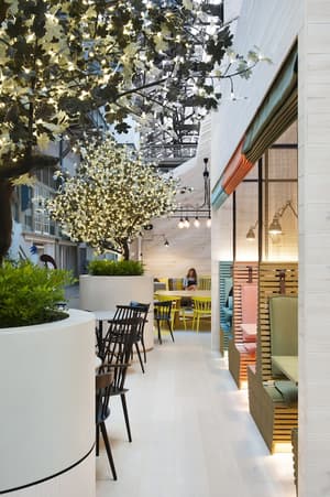 thumbnail: Interior