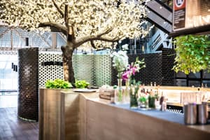 thumbnail: Bar (on property)