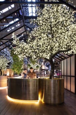thumbnail: Bar (on property)