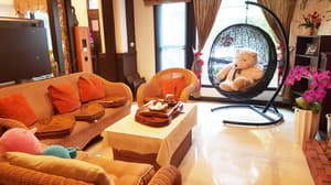 thumbnail: Interior