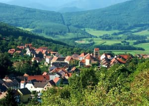 thumbnail: Land view from property