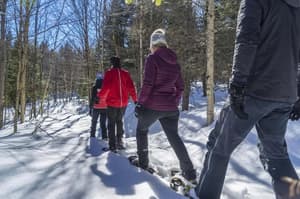 thumbnail: Snowshoeing