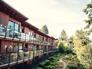thumbnail: View from room