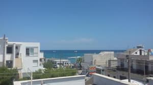 thumbnail: 71758703.jpg