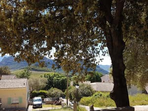 thumbnail: Property grounds