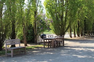 thumbnail: BBQ/picnic area