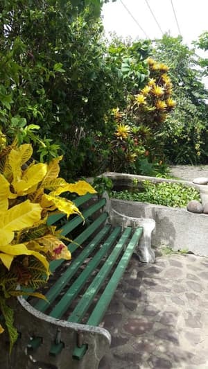 thumbnail: Garden