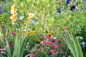 thumbnail: Garden