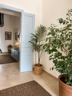 thumbnail: Interior entrance