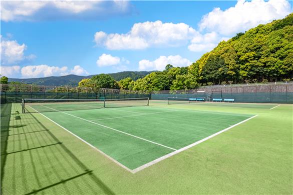 On-Site,Property Amenity,Recreation,Sports Courts/Fields