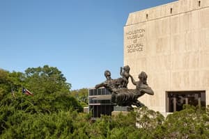thumbnail: Our Houston hotel is walking distance to the Museum District.