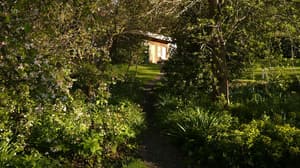 thumbnail: Property grounds