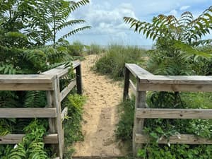 thumbnail: Beach